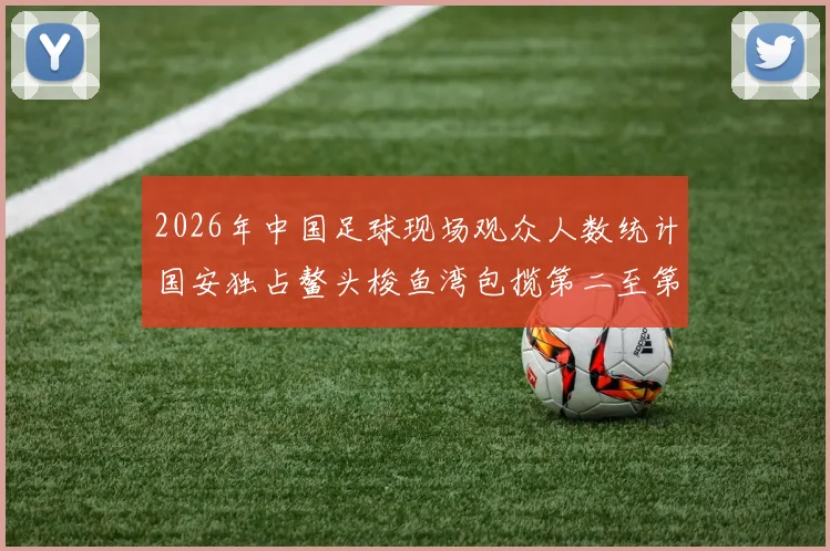 2026年中国足球现场观众人数统计国安独占鳌头梭鱼湾包揽第二至第七位