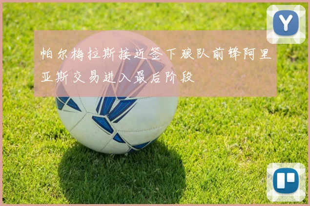 帕尔梅拉斯接近签下狼队前锋阿里亚斯交易进入最后阶段