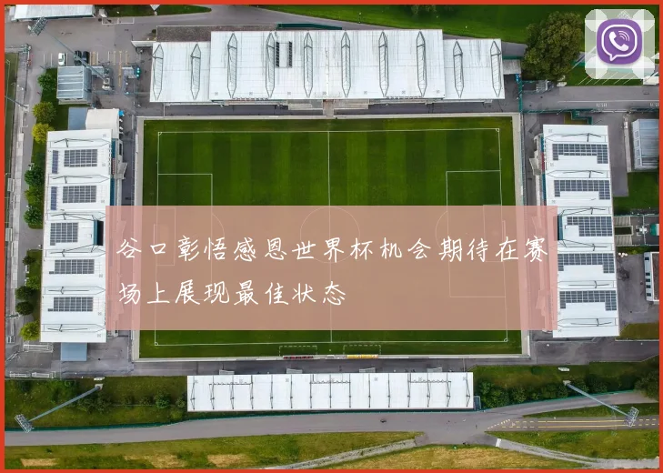 谷口彰悟感恩世界杯机会期待在赛场上展现最佳状态
